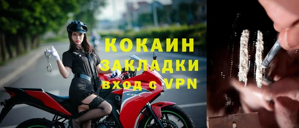 apvp Алексин
