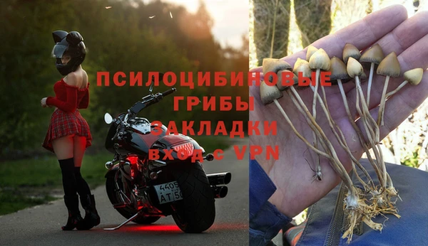 сатива Алзамай