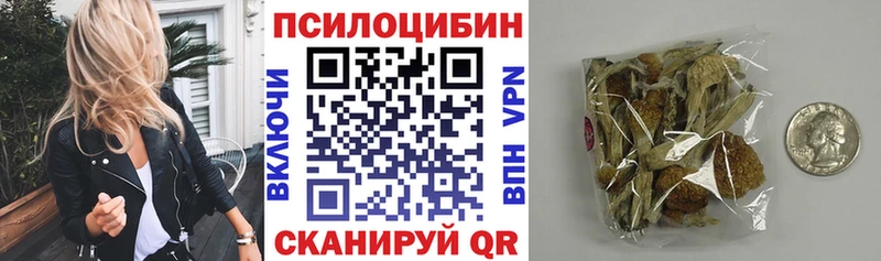 Псилоцибиновые грибы Magic Shrooms  как найти закладки  ОМГ ОМГ ССЫЛКА  Ревда 